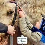 Ponyabenteuer Pferdefreunde Zloam